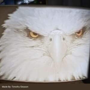 Sunlu lithophane filament PLA Eagle