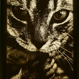 Lithophane-cat-with-light